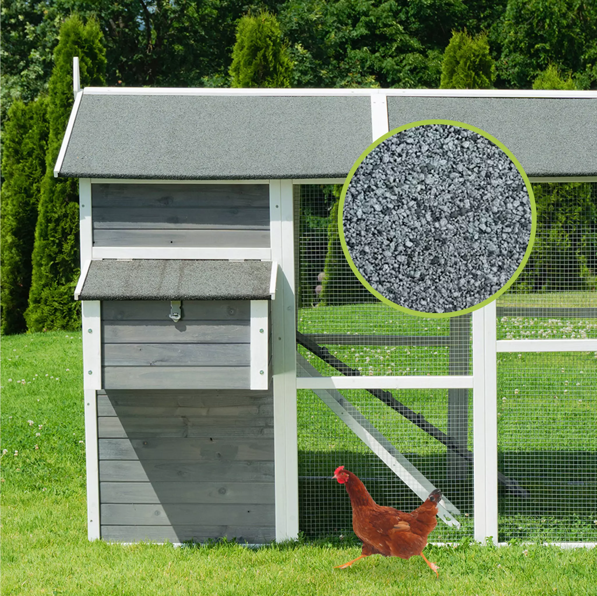 MyAnimal Hühnerstall groß für 7 Hühner MH-15